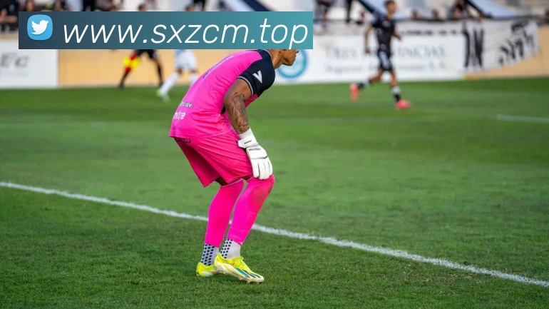 米兰app官网下载入口平台生态图